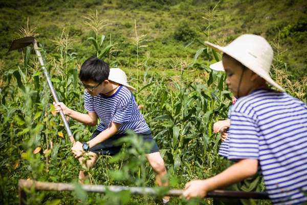 合肥夏令营军训推荐?知名机构推荐